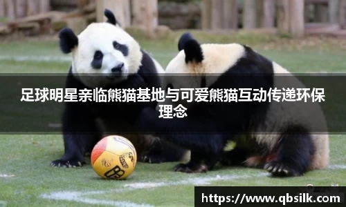 南宫集团官网